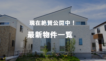 ジェットの建売