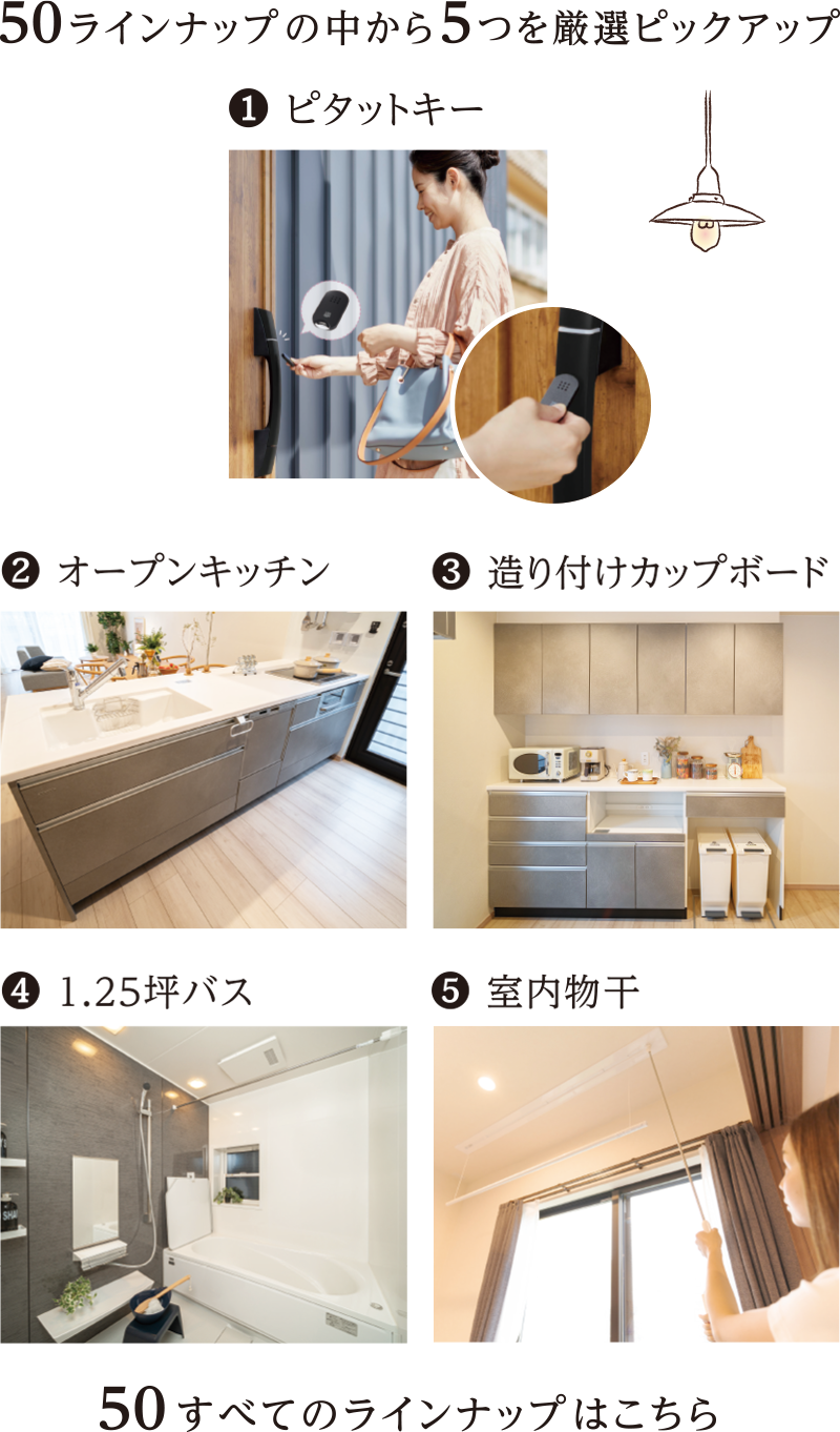 50ラインナップの中から5つを厳選ピックアップ