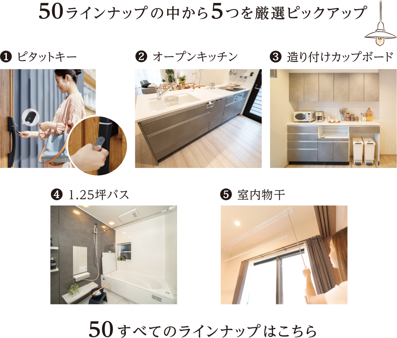 50ラインナップの中から5つを厳選ピックアップ